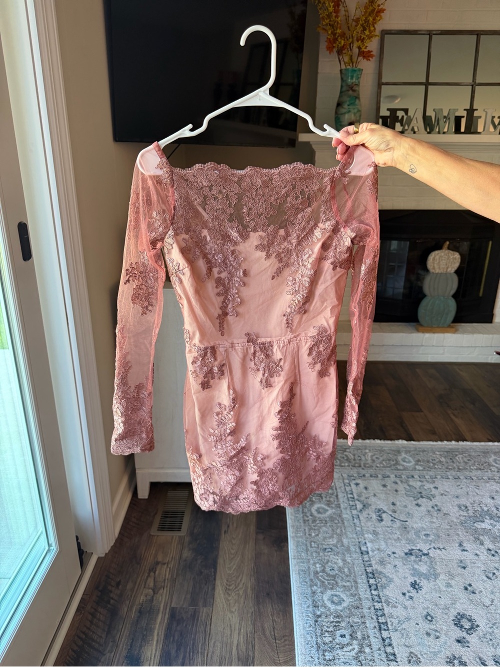 Tobi Dusty Rose Lace Mini Dress